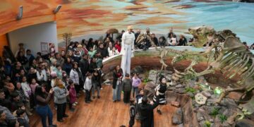 El Museo de Ciencias Naturales con entrada gratuita hasta el 27 de julio