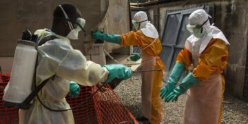 El ébola ya causó 452 muertes en el Congo El ébola ya causó 452 muertes en el Congo