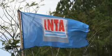 INTA: informe advierte que 889 retiros voluntarios afectan áreas estratégica