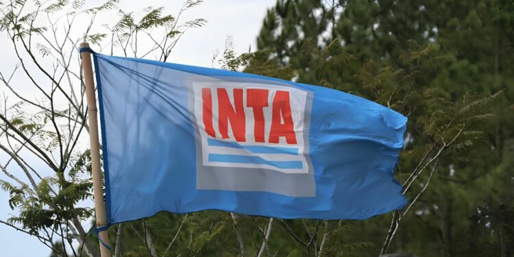 INTA: informe advierte que 889 retiros voluntarios afectan áreas estratégica