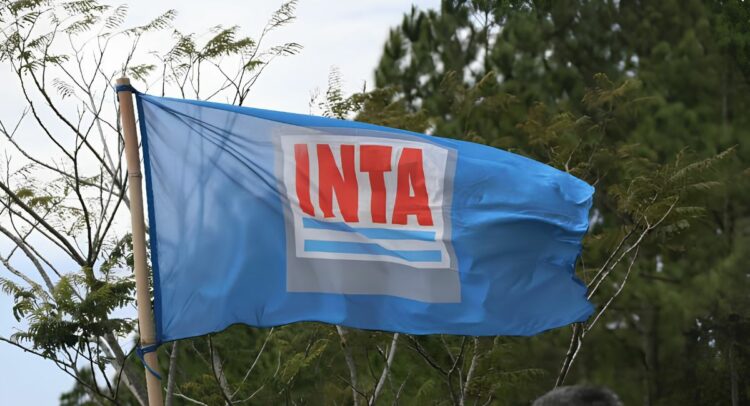 INTA: informe advierte que 889 retiros voluntarios afectan áreas estratégica