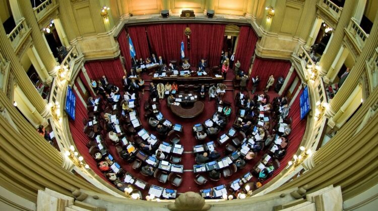 Los senadores cobrarán casi 12 millones de pesos en agosto por la ley de enganche paritario Senadores