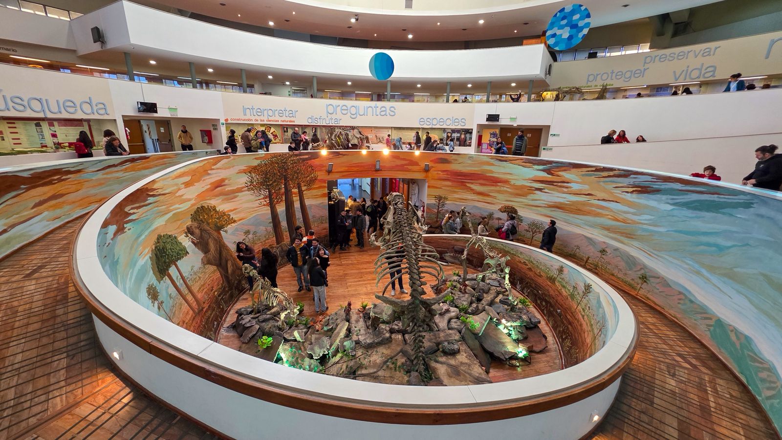 Una experiencia inmersiva sobre la megafauna abre las vacaciones en el museo Una experiencia inmersiva sobre la megafauna abre las vacaciones en el museo