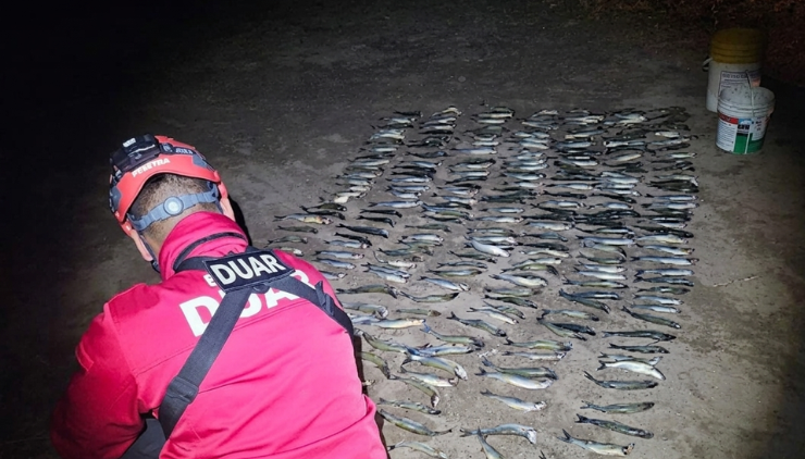 Secuestraron 255 pejerreyes en el Dique La Viña tras un control preventino Pejerrey