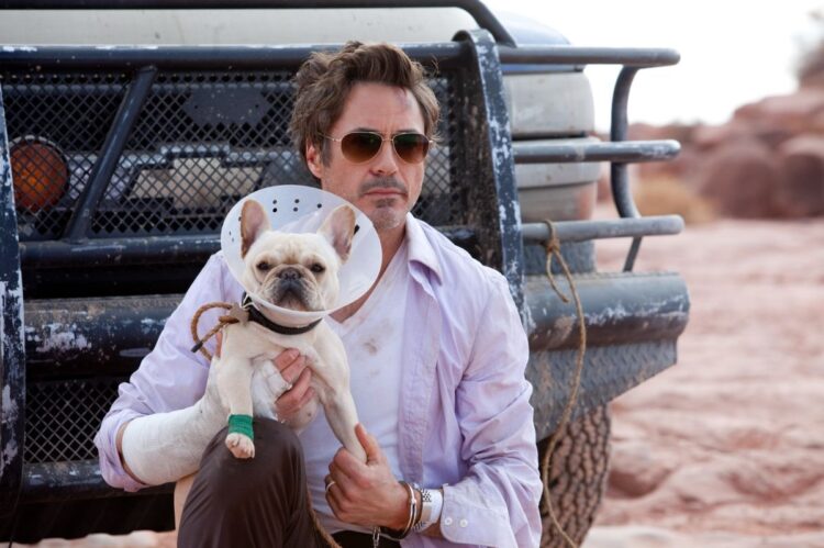 Las 10 películas más vistas en Netflix esta semana “Todo un parto” (2010), con Robert Downey Jr. y Zach Galifianakis, sigue el viaje de un futuro padre que debe cruzar Estados Unidos para asistir al nacimiento de su primer hijo, acompañado por un excéntrico compañero de ruta.
