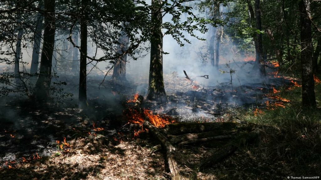 Un incendio arrasa el bosque de Fontainebleau, cerca de París Un incendio arrasa el bosque de Fontainebleau, cerca de París