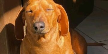 Lunes con sol, viento fresco y máxima de 16°C en Córdoba