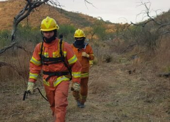 Alertan por el alto riesgo de incendios debido a las condiciones climáticas
