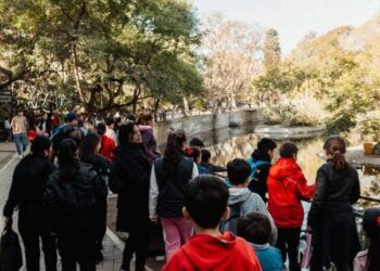Córdoba renueva su agenda con propuestas para disfrutar en familia Córdoba renueva su agenda con propuestas para disfrutar en familia