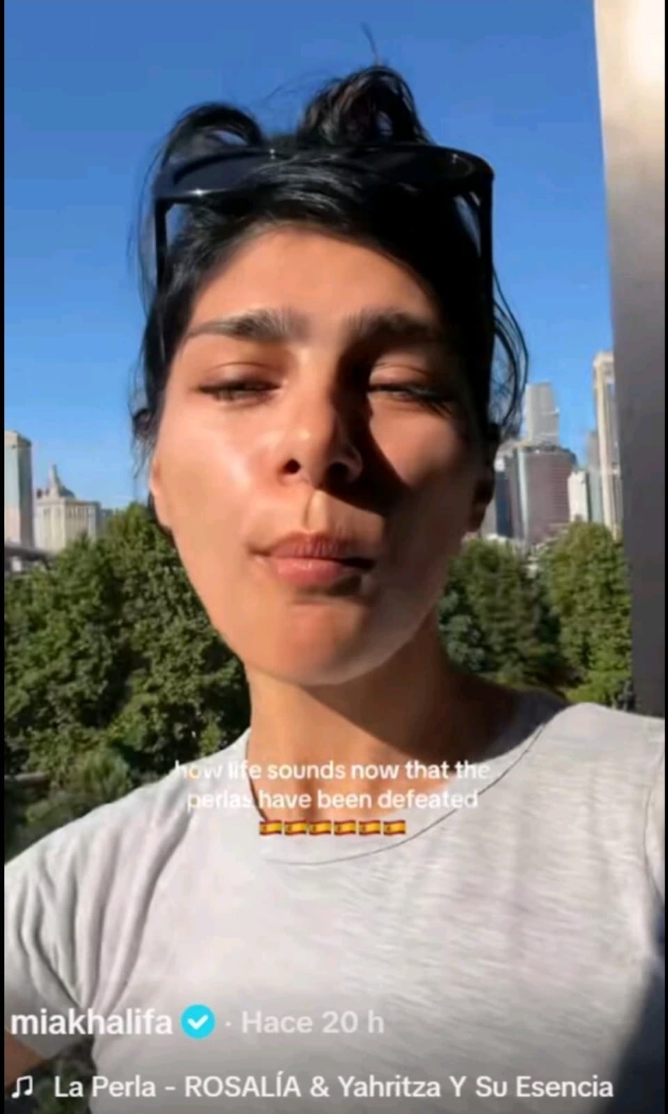 Rosalía pidió disculpas a los argentinos y aclaró que solo compartió el video por su canción