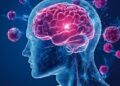 Día mundial del cerebro: cómo cuidar el órgano que lo controla todo
