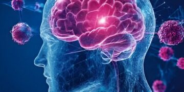 Día mundial del cerebro: cómo cuidar el órgano que lo controla todo Día mundial del cerebro: cómo cuidar el órgano que lo controla todo