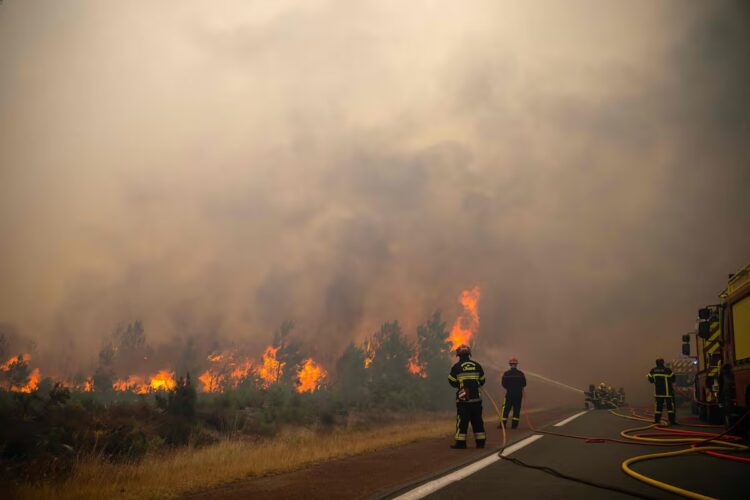 El calor extremo y la sequía ocasionan una temporada de incendios forestales sin precedentes en Europa.