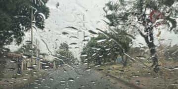 Córdoba tendrá un domingo fresco, con lluvias débiles y cielo parcialmente nublado Córdoba tendrá un domingo fresco, con lluvias débiles y cielo parcialmente nublado