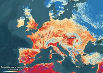 La ola de calor en Europa ya dejó al menos 3.700 muertos y mantiene en alerta a varios países