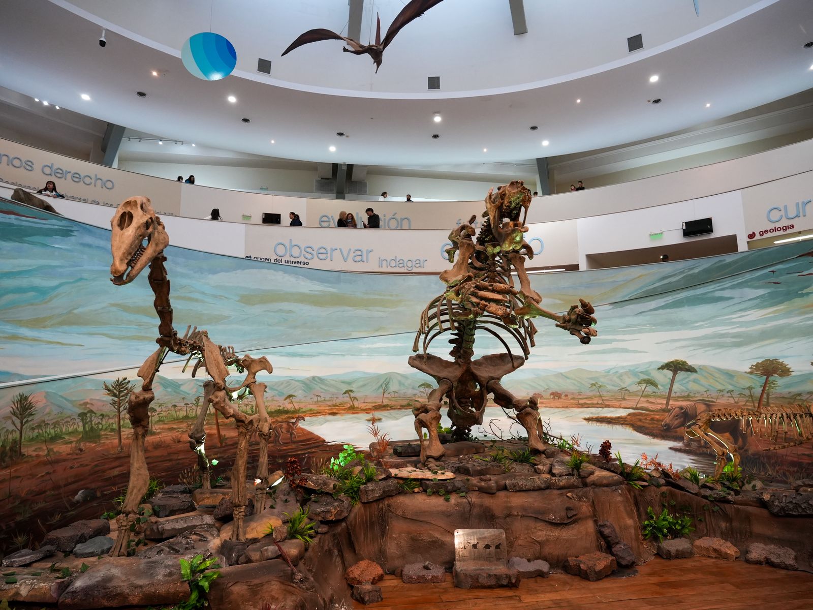 Una experiencia inmersiva sobre la megafauna abre las vacaciones en el museo Una experiencia inmersiva sobre la megafauna abre las vacaciones en el museo