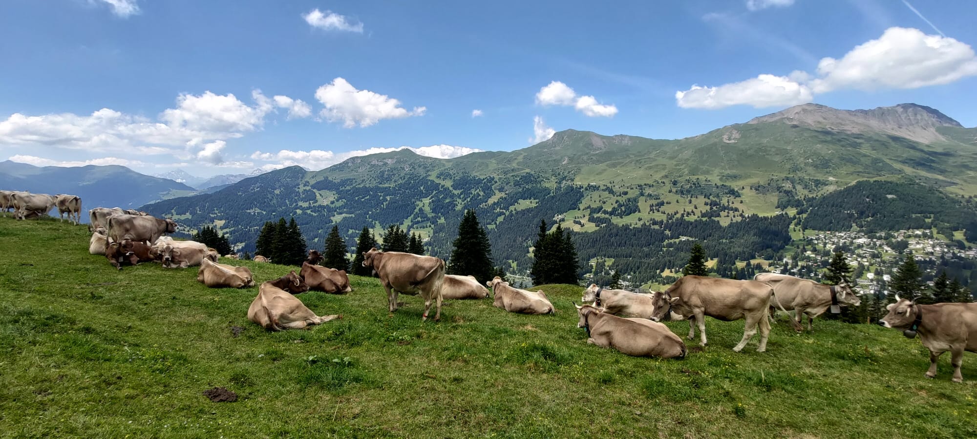 Una vista de Lenzerheide, en los Alpes suizos. "El paraíso existe, existe y está ahí", asegura la madre de Ignacio al describir el lugar donde vive su hijo.