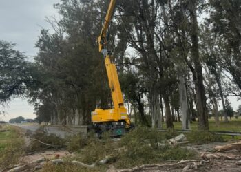 Vialidad Nacional ejecutará tareas de conservación a la altura de Arroyito.