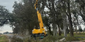 Corte total de tránsito en la Ruta Nacional 19 a la altura de Arroyito Vialidad Nacional ejecutará tareas de conservación a la altura de Arroyito.