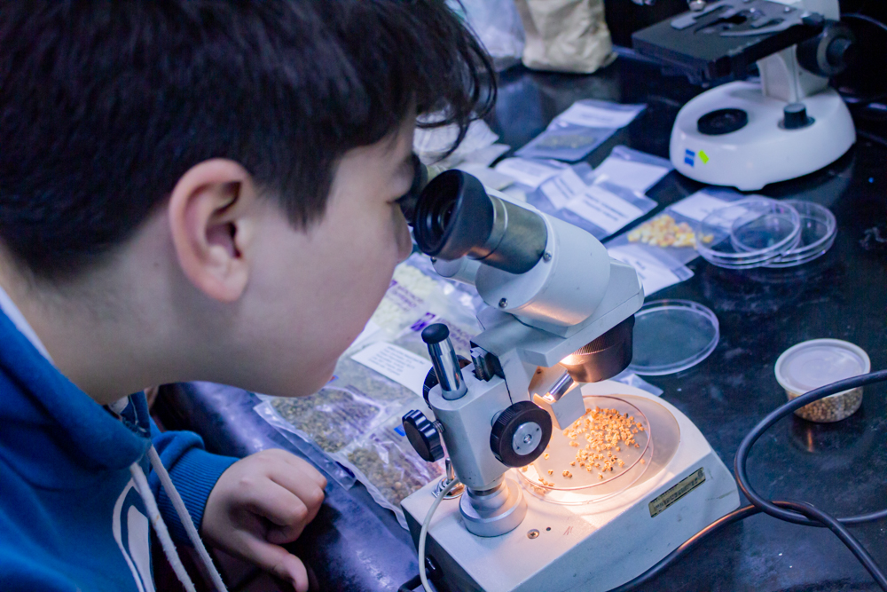El Museo Interactivo inicia su ciclo invernal con juegos y experimentos El Museo Interactivo inicia su ciclo invernal con juegos y experimentos
