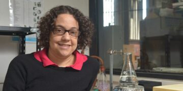 Científicas de la UBA desarrollaron un film biodegradable con mandioca y yerba mate El desarrollo se realiza en el Laboratorio de Polímeros y Materiales Compuestos de la UBA, dirigido por la investigadora del Conicet Lucía Fama, junto a Natalia Hermoso, Leiza Fernández y Julieta Pajoni, integrantes del equipo de investigación.