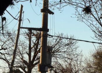 Más de 30 horas sin luz en barrio Parque San Antonio: vecinos denuncian falta de respuesta de EPEC