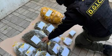 Operativo policial: detuvieron a 117 personas, secuestraron 128 vehículos y 15 armas Además, se secuestraron más de seis kilos de marihuana y se realizaron procedimientos vinculados a causas por violencia familiar, amenazas, lesiones, abuso sexual y robos.