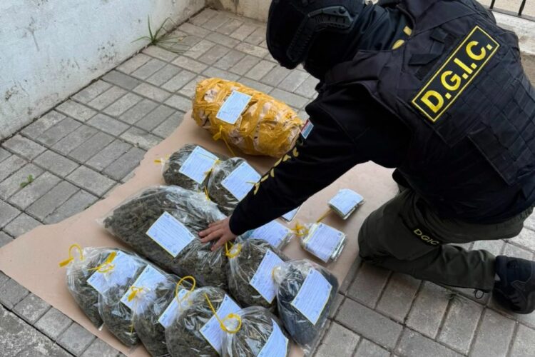 Operativo policial: detuvieron a 117 personas, secuestraron 128 vehículos y 15 armas Además, se secuestraron más de seis kilos de marihuana y se realizaron procedimientos vinculados a causas por violencia familiar, amenazas, lesiones, abuso sexual y robos.