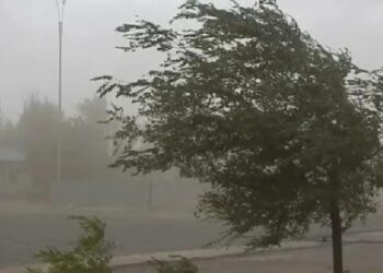 Advierten por un ingreso de fuertes ráfagas de viento