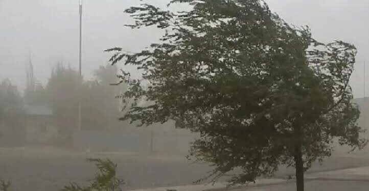 Se esperan fuertes ráfagas de viento del sector sur-suroeste.