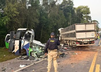 Al menos 23 personas murieron tras el choque entre un colectivo y un camión en Brasil