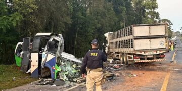 Al menos 23 personas murieron tras el choque entre un colectivo y un camión en Brasil