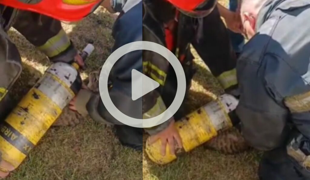Imagenes del operativo por incendio gestado en un domicilio de B° Alto Alberdi.