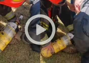 Imagenes del operativo por incendio gestado en un domicilio de B° Alto Alberdi.