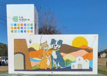 Atacaron a un veterinario tras la muerte de una perra en una cirugía