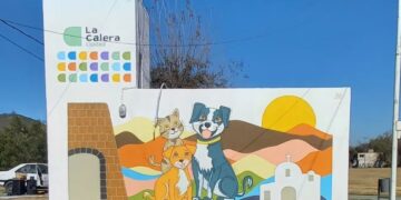 Atacaron a un veterinario tras la muerte de una perra en una cirugía