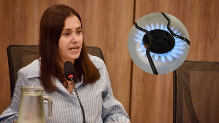 Basualdo advirtió que el gas podría aumentar entre un 40% y 100% en Córdoba Basualdo aseguró que unas 712 mil familias cordobesas podrían enfrentar aumentos.