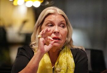 Carrió criticó la Ley de Tierras: «Es un modelo para Silicon Valley»