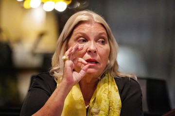 Carrió criticó la Ley de Tierras: "Es un modelo para Silicon Valley" La legisladora de la CC prometió tomar medidas judiciales.