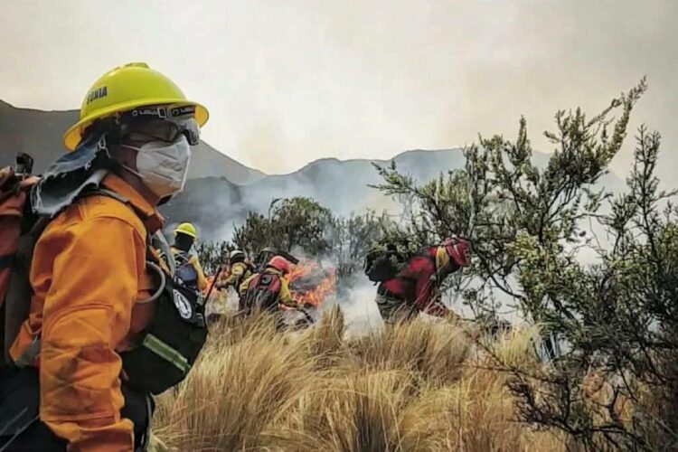 El fuego afecta al paraje La Manga, cerca de Charbonier, con riesgo de interfaz por la cercanía de viviendas.