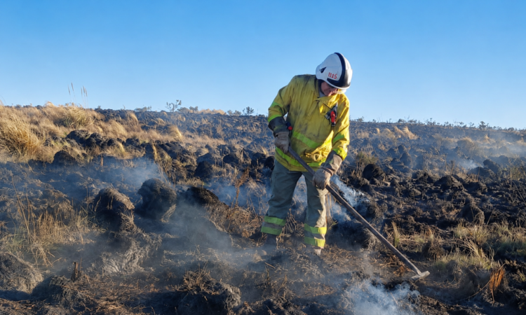 Incendios forestales: controlaron el foco de Salsacate y sigue activo el de Cortaderas El fuego registrado entre Salsacate y Mina Clavero se encuentra sin actividad y permanecerá en guardia de cenizas hasta completar la evaluación del área.