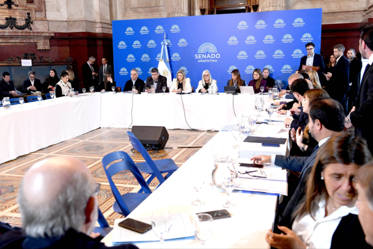 El oficialismo intenta apurar el proyecto del Súper Rigi en el Senado La reunión conjunta de Presupuesto y Hacienda, Economía e Inversión y Legislación General