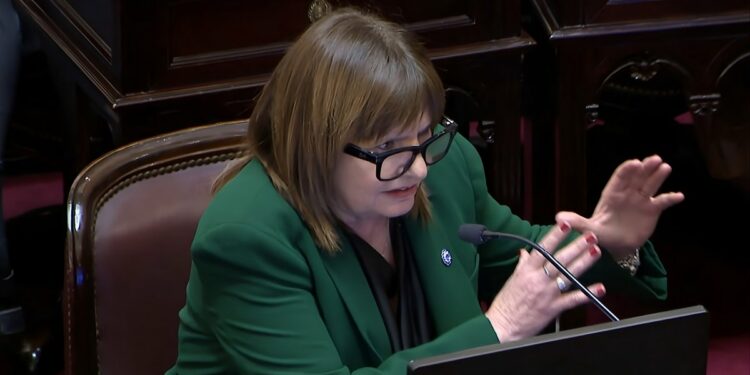 Bullrich defendió la iniciativa oficial.