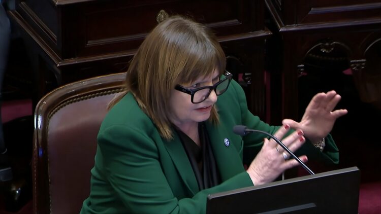 Bullrich defendió la iniciativa oficial.