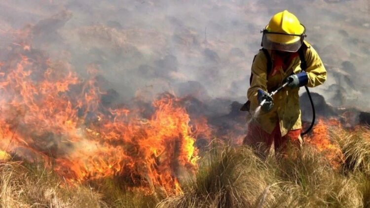 El viento norte será clave para la jornada de mañana, por lo que piden a la población extremar los cuidados.