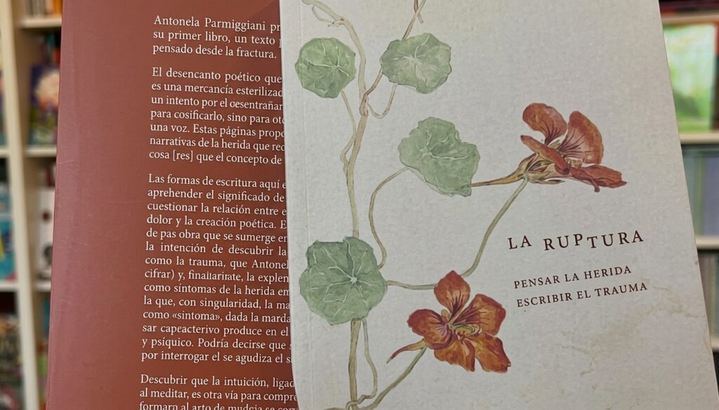 La ruptura, de Antonela Parmigiani Antonela Parmigiani