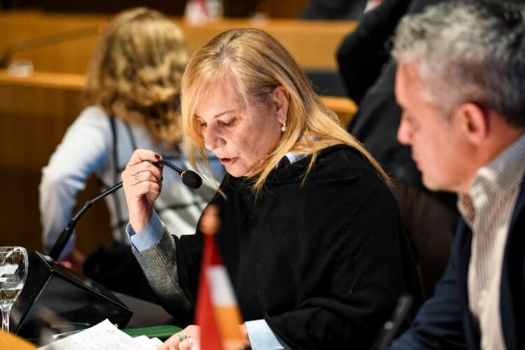 Denuncian un "bloqueo silencioso" de más de 530 proyectos Concejales de la UCR, Frente Cívico, PRO y Cordobeses por la Libertad presentaron un pedido formal para que se destrabe el tratamiento de 535 proyectos paralizados en las comisiones del Concejo Deliberante. Denuncian que las iniciativas de la oposición son archivadas sin llegar a debatirse.