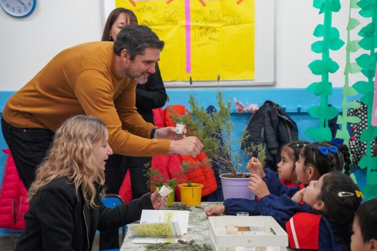 educacion