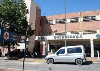Operaron al niño de dos años que fue atacado por un dogo