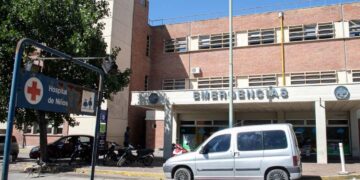 Operaron al niño de dos años que fue atacado por un dogo